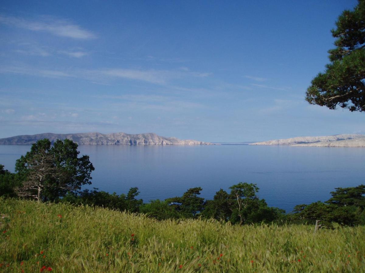 Dalibor Διαμέρισμα Senj  Εξωτερικό φωτογραφία