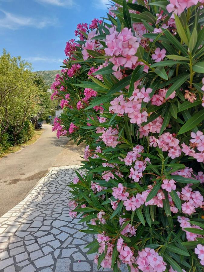 Dalibor Διαμέρισμα Senj  Εξωτερικό φωτογραφία