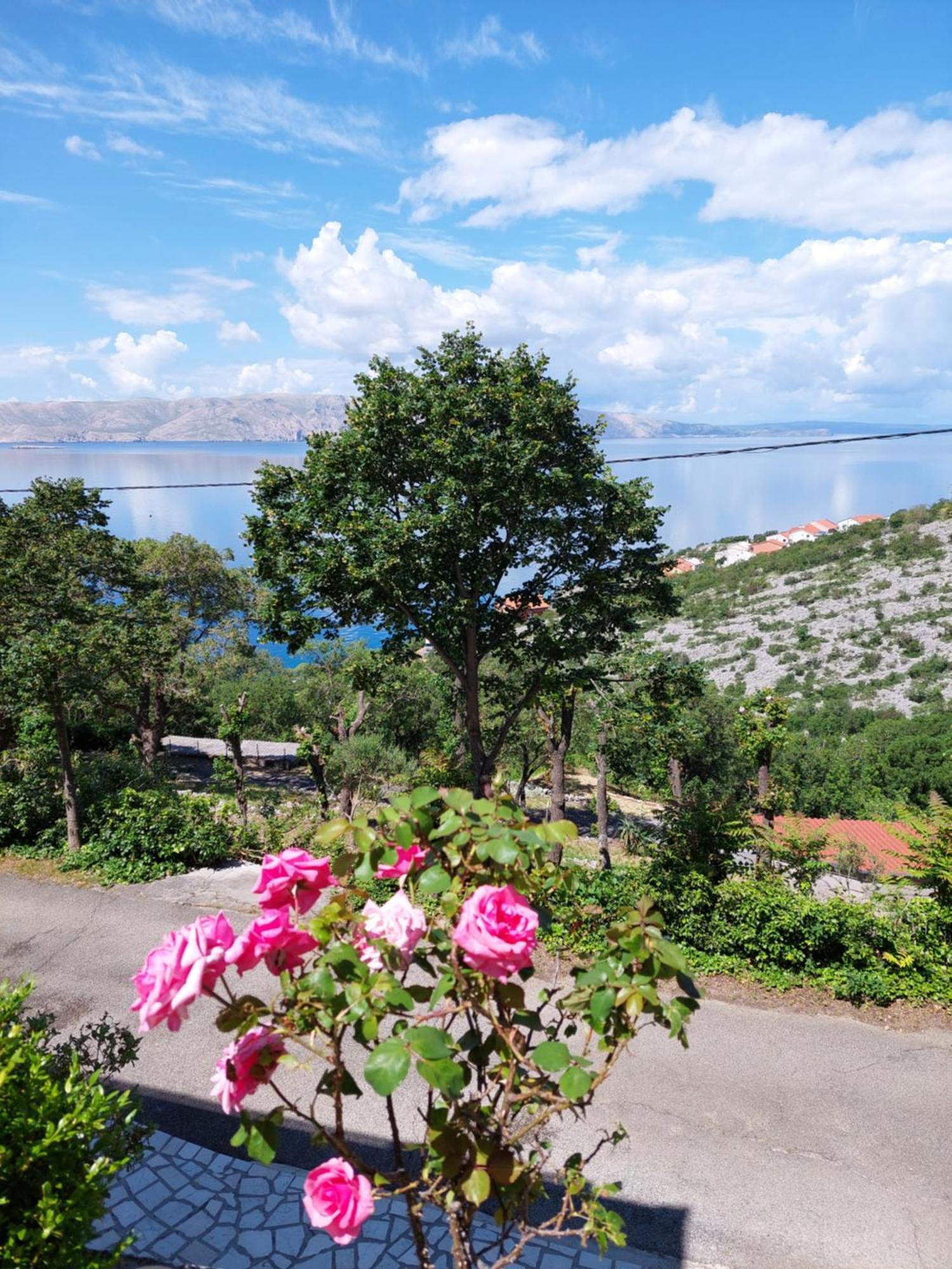 Dalibor Διαμέρισμα Senj  Εξωτερικό φωτογραφία